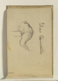 Academia y anotaciones manuscritas