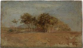 Arboleda