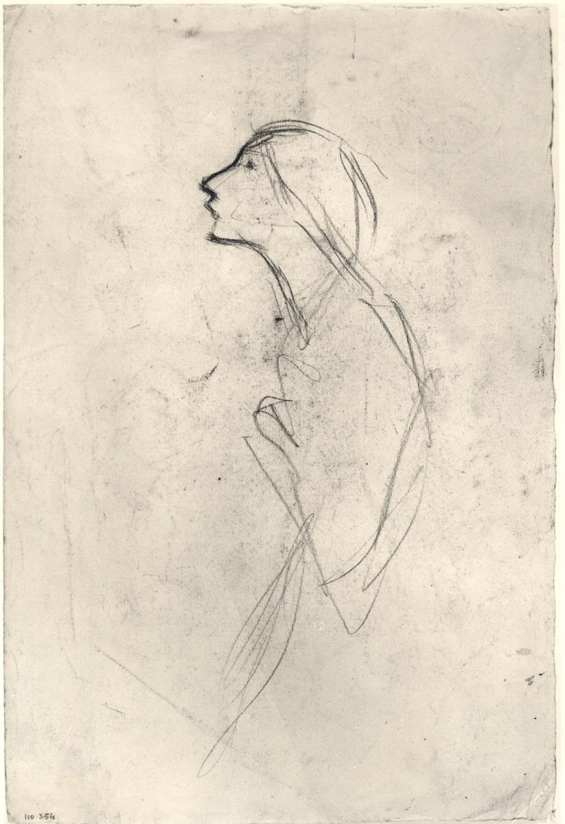 Boceto