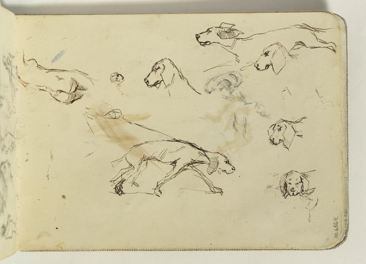 Studies of a Dog and a Female Nude | Picasso museum Barcelona | Official  website