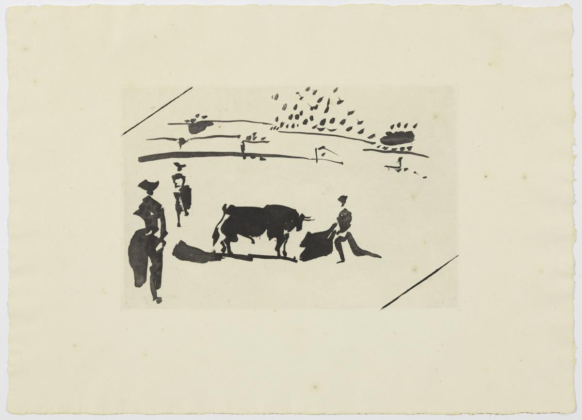 "Citando al toro con la capa"