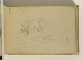 Perro estirado y estudio de mujer