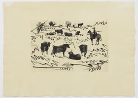Bulls in the Field