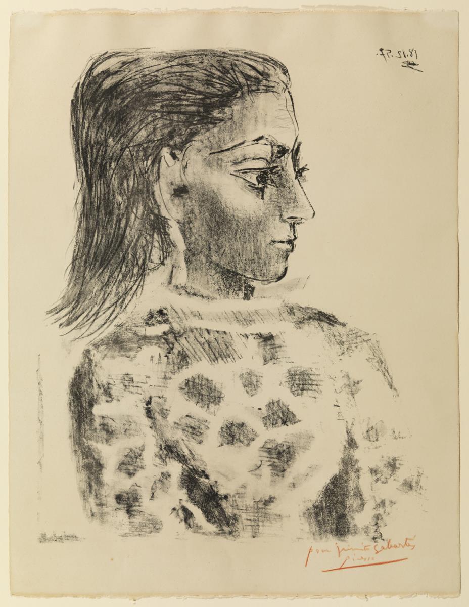 Bust with Check Cloth Blouse