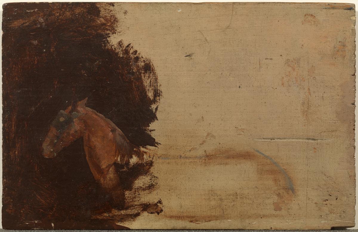 Caballo