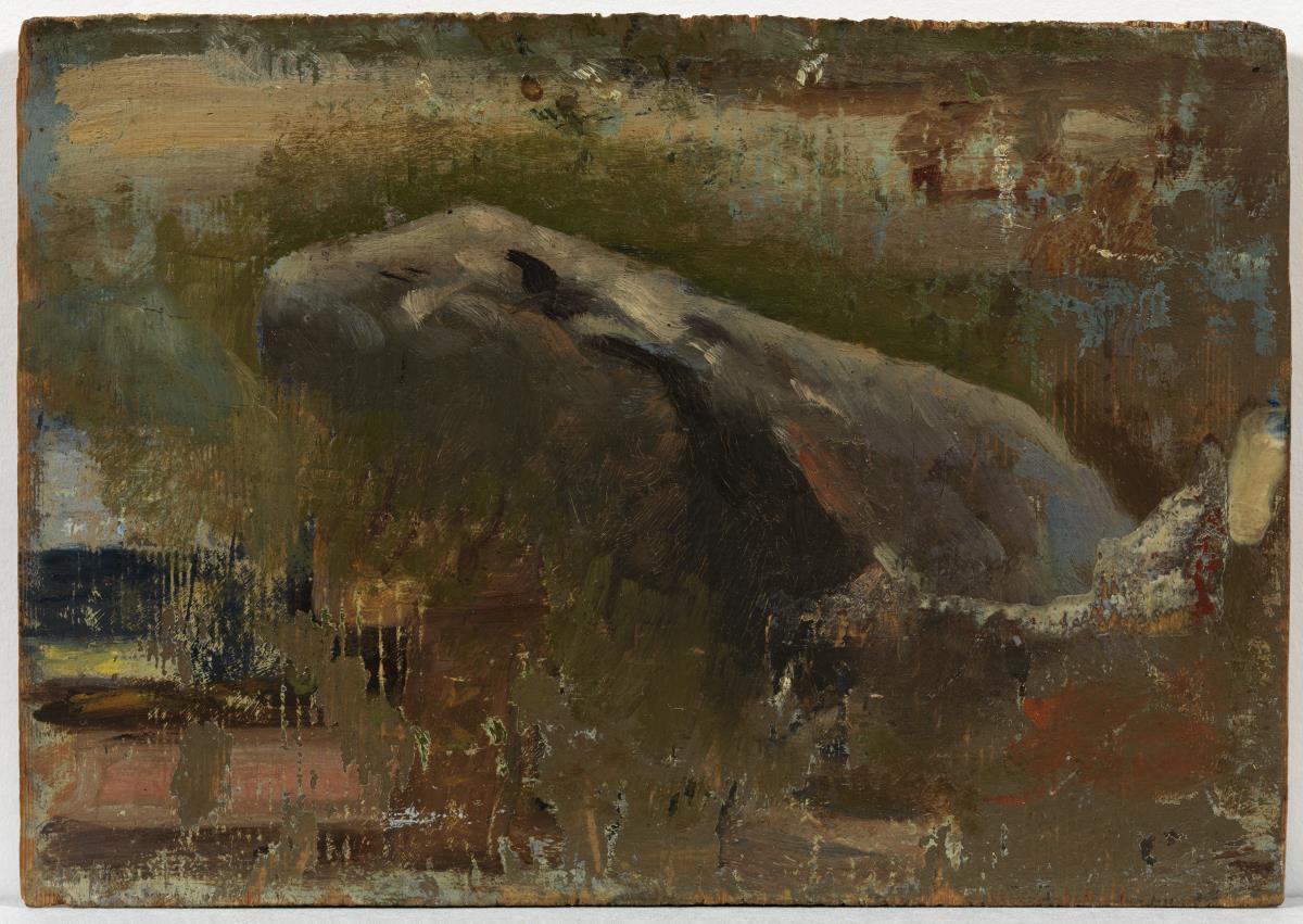 Roca en el campo
