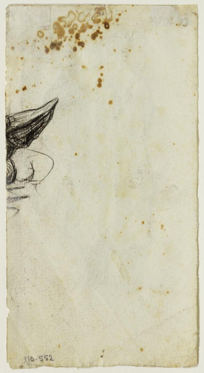 Fragmento de un dibujo