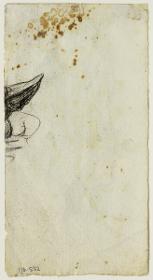 Fragmento de un dibujo
