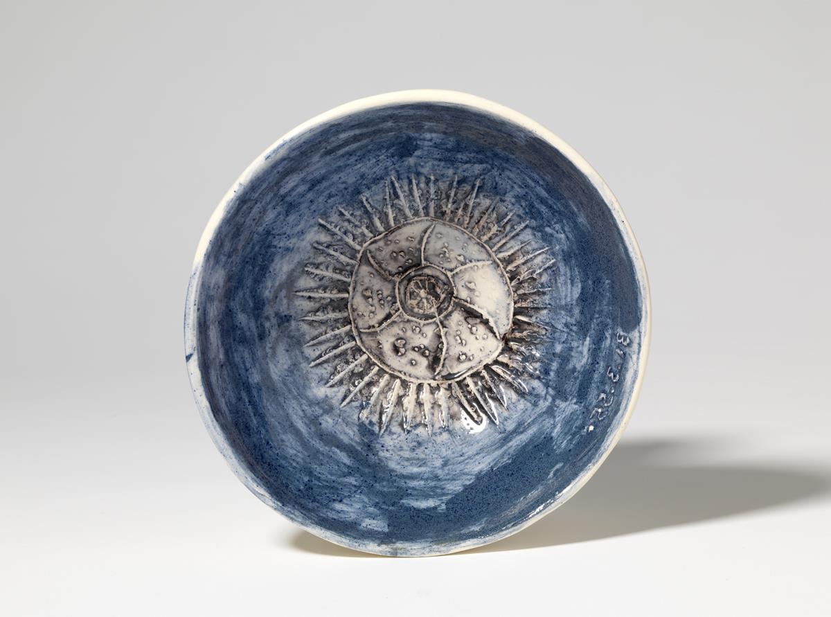 Erizo de mar sobre fondo azul