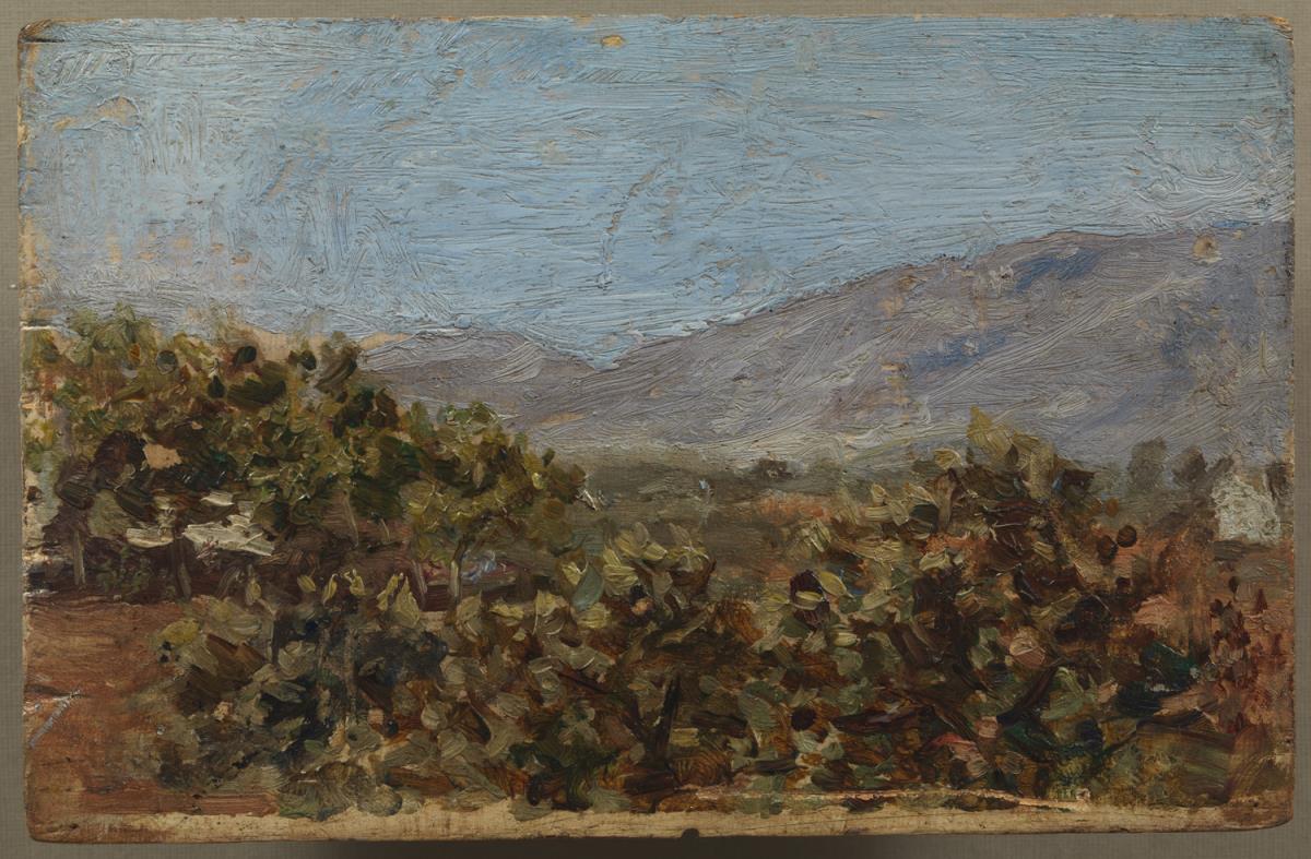Landscape with Shrubs