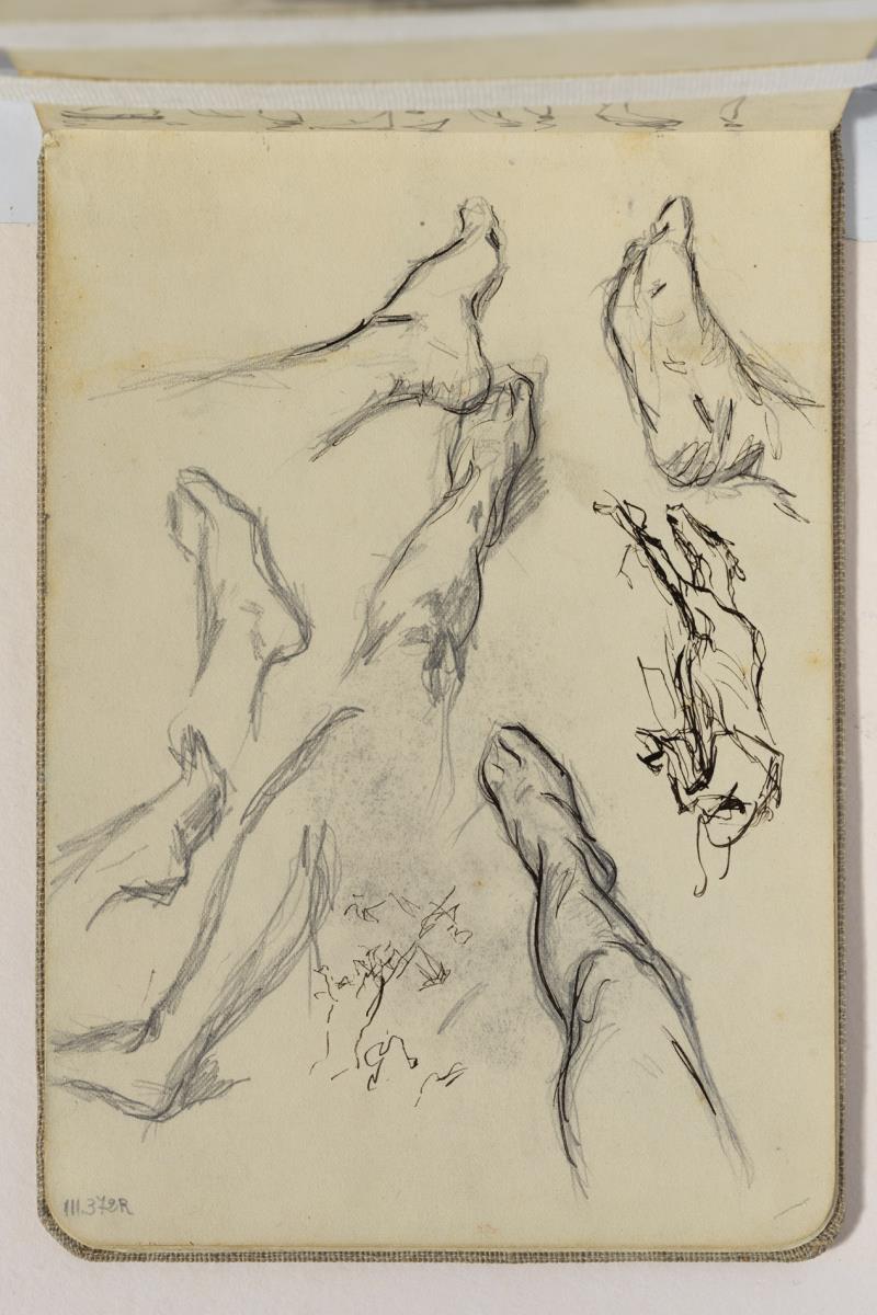 Study of Legs and Feet