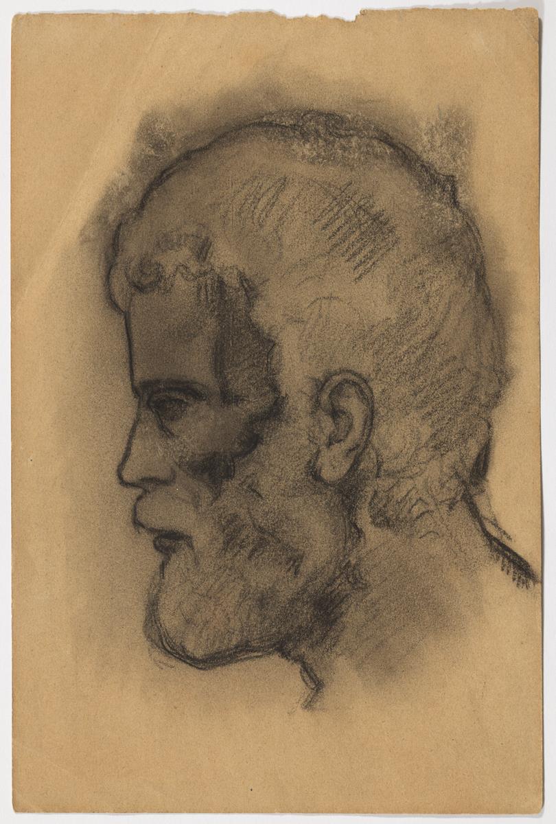 Head of a Man with a Beard