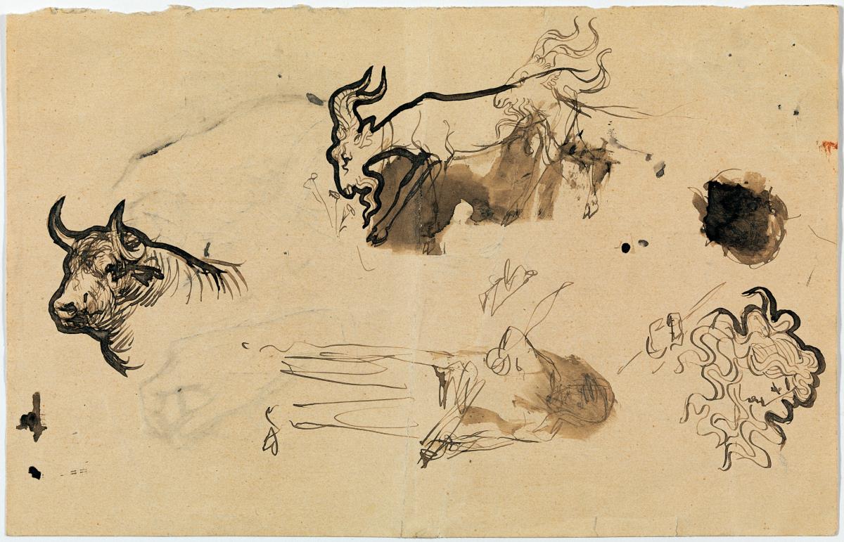 Various Sketches