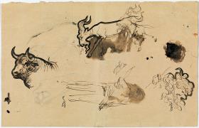 Various Sketches