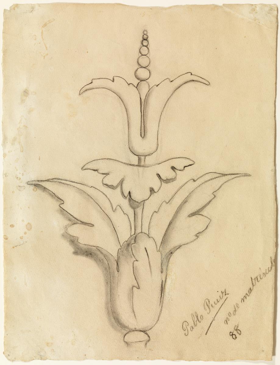 Ejercicio académico