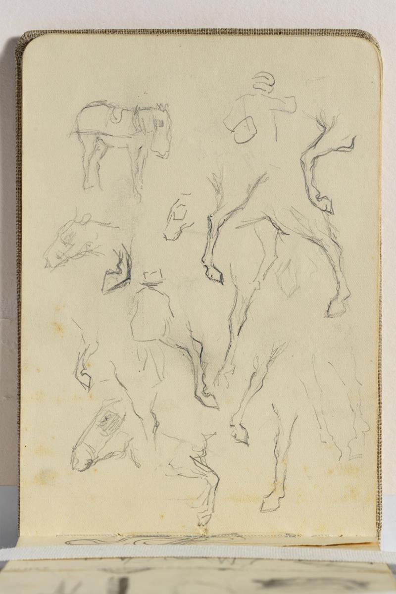 Study of Men and Horses