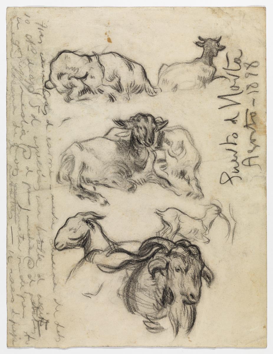 Cabras