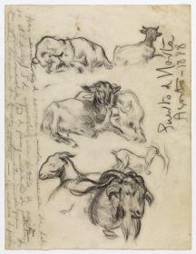 Cabras