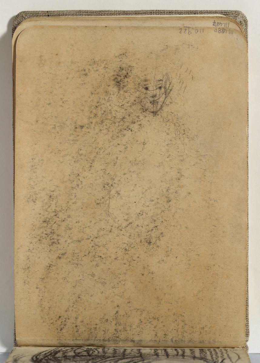 Estudio de cara de mujer