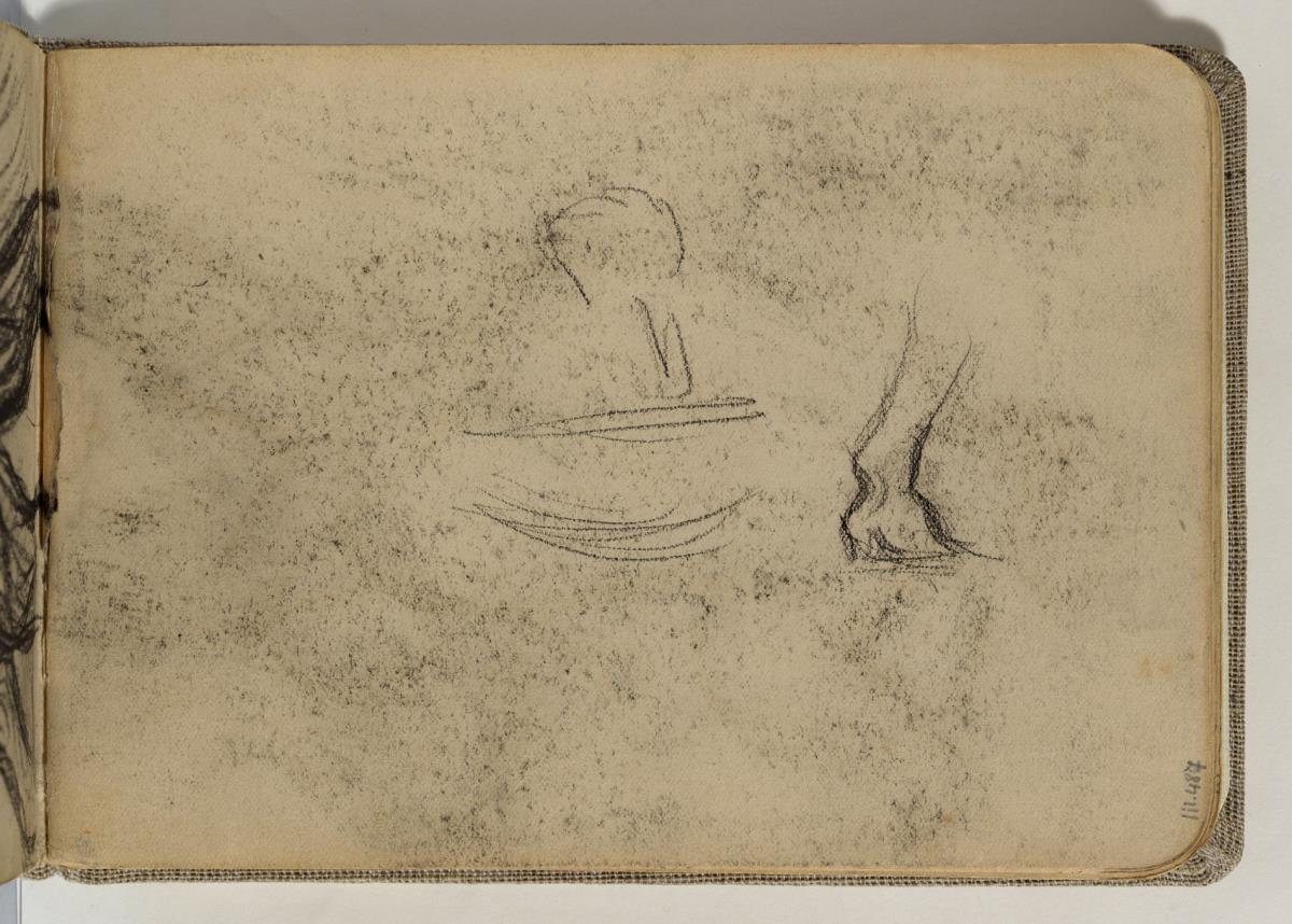 Estudio de pata de caballo