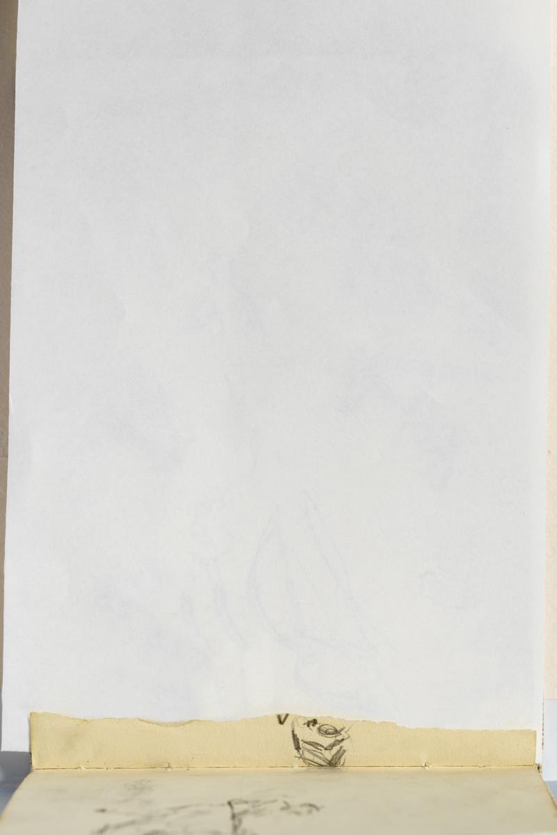 Fragment d'un dibuix indesxifrable