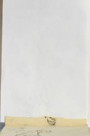 Fragmento de un dibujo indescifrable