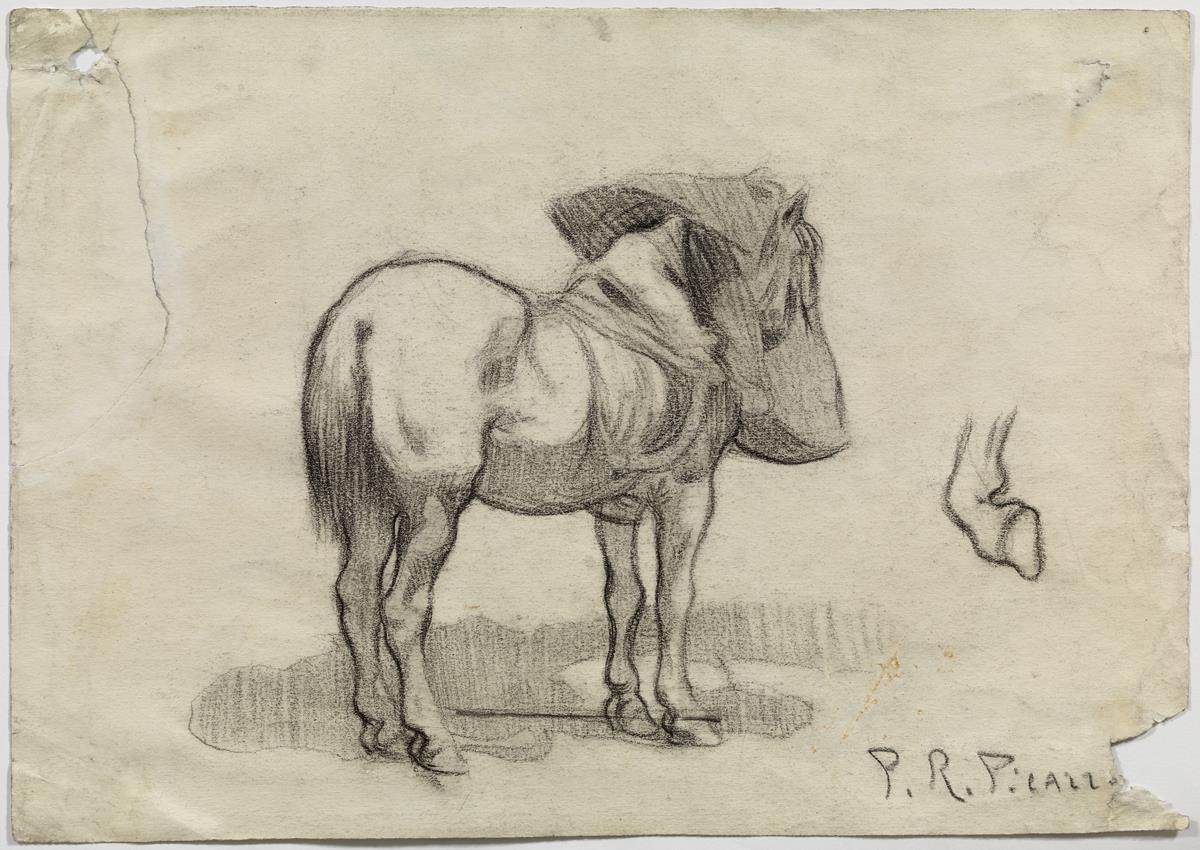 Horse Feeding