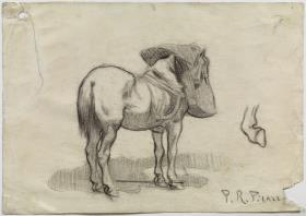 Horse Feeding