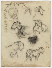 Croquis