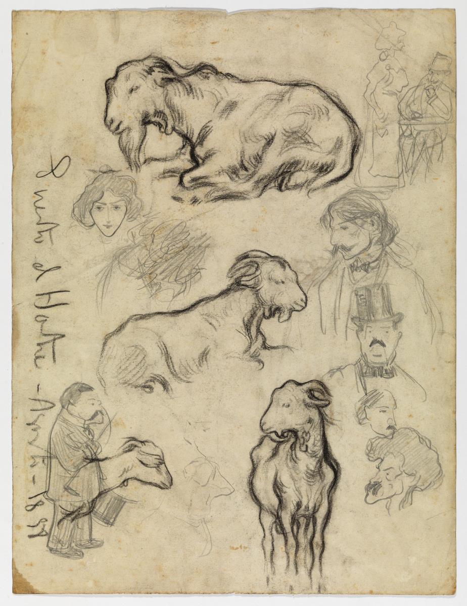 Cabres i esbossos de personatges