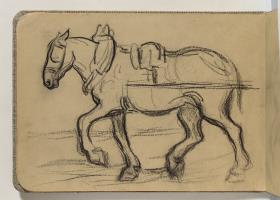 Caballo de tiro con arneses
