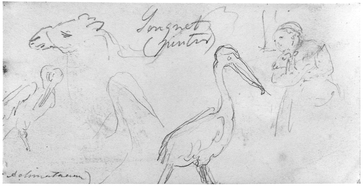 Apuntes