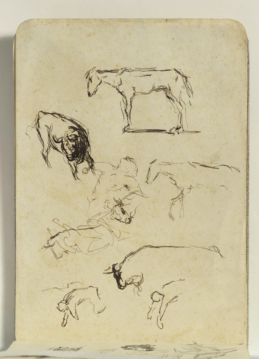 Apuntes taurinos