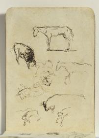 Apuntes taurinos