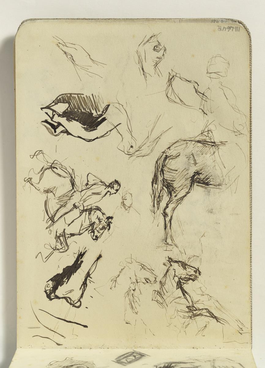 Genet, estudi de mans i cavalls