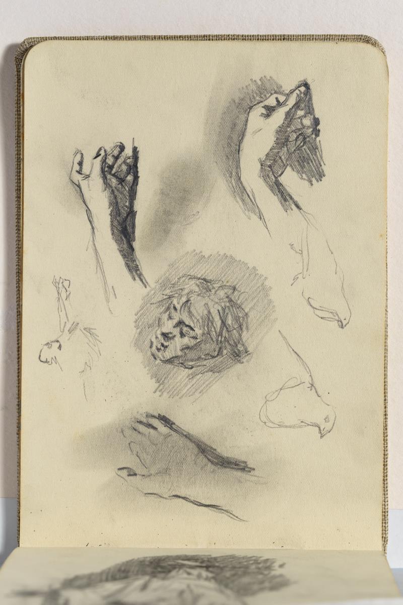 Cabeza de hombre, estudio de manos y palomas