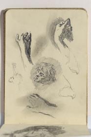 Cabeza de hombre, estudio de manos y palomas