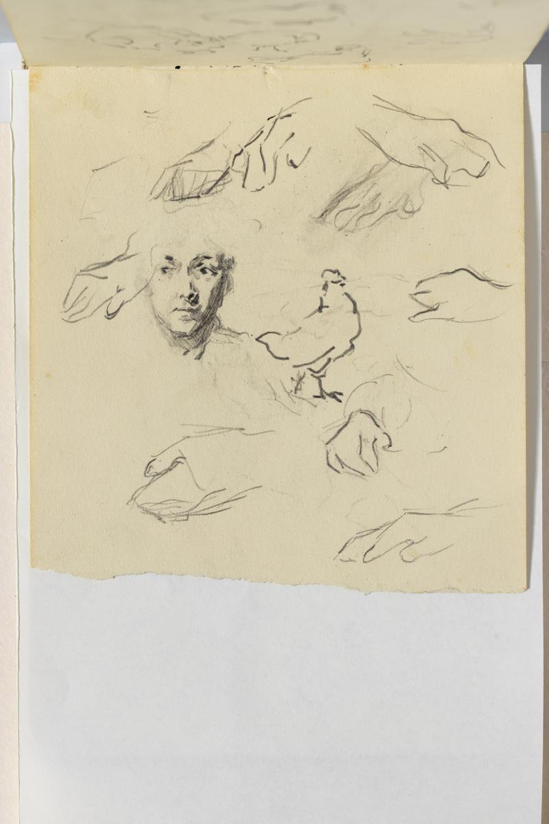 Cap de dona, gallina i estudi de mans