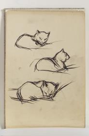Estudio de gatos