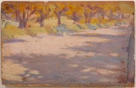 Camí entre arbres