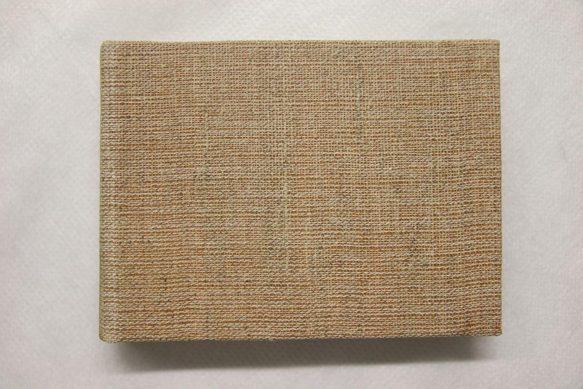 Barcelona Sketchbook, 1896