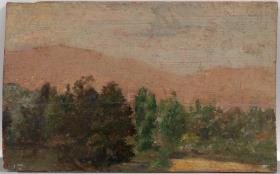 Paisatge amb arbres