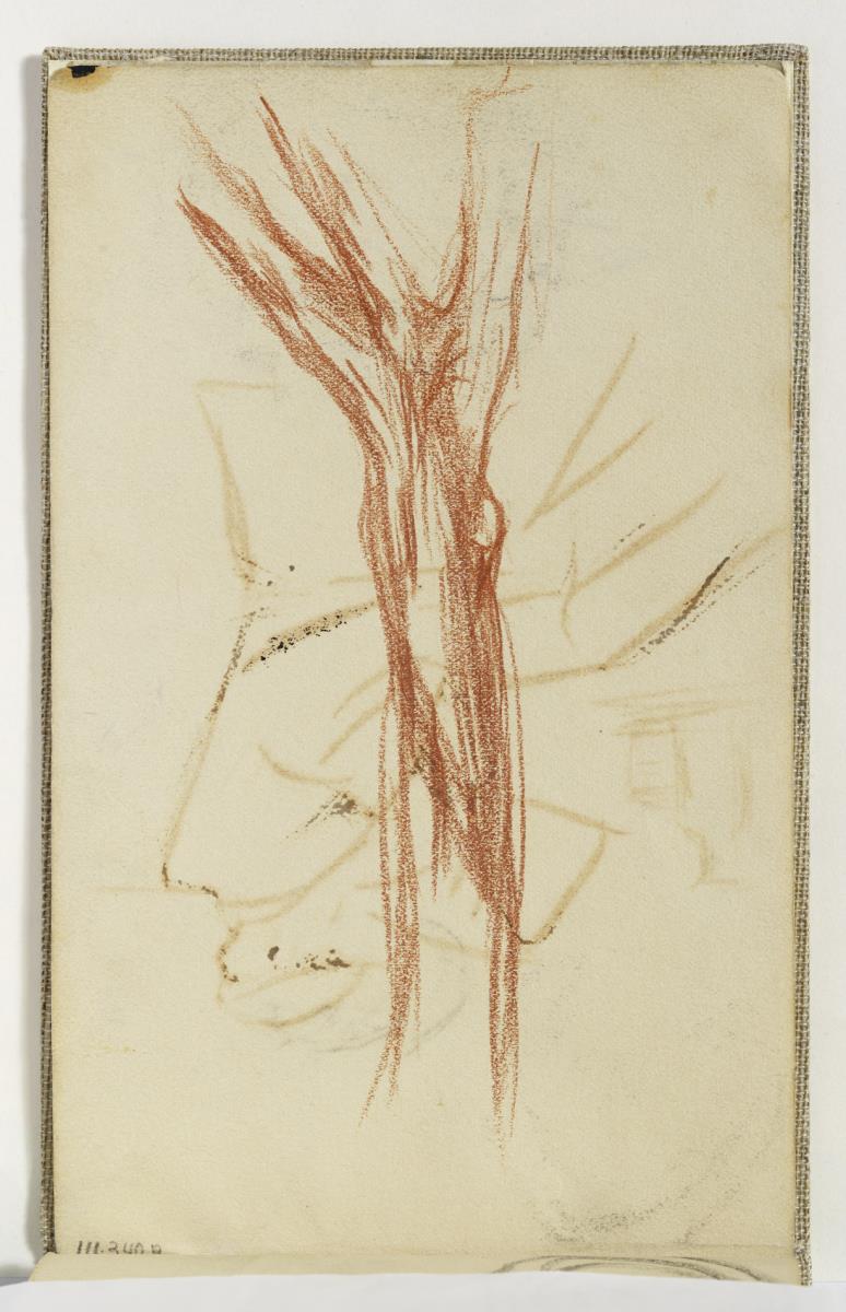Estudi d'arbre