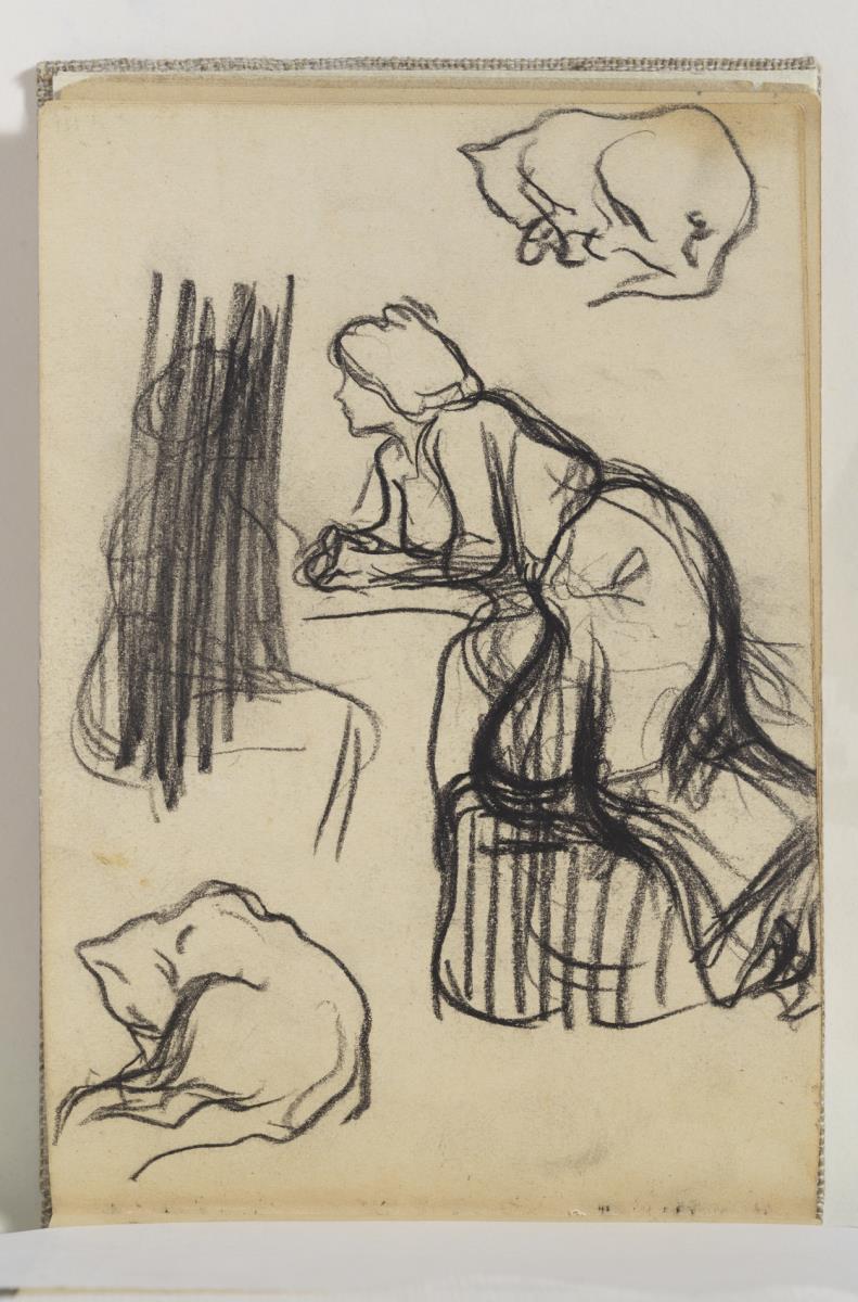 Estudio de mujeres y gatos