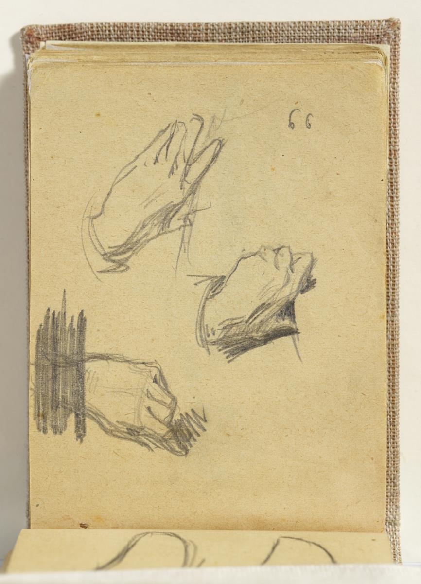 Study of Hands