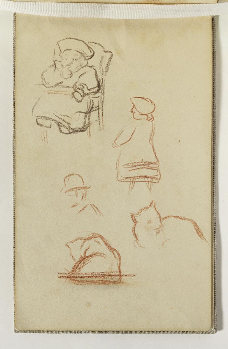 Estudio de niños, hombre y gatos