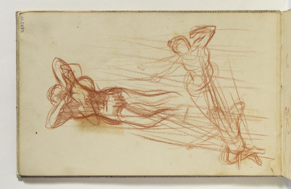 Estudios de gimnasta