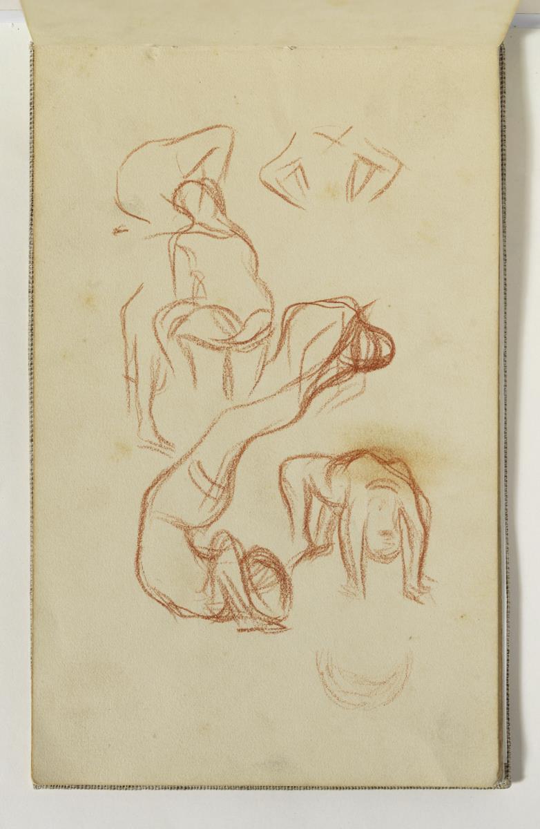 Estudios de gimnasta