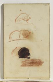 Study of Cats