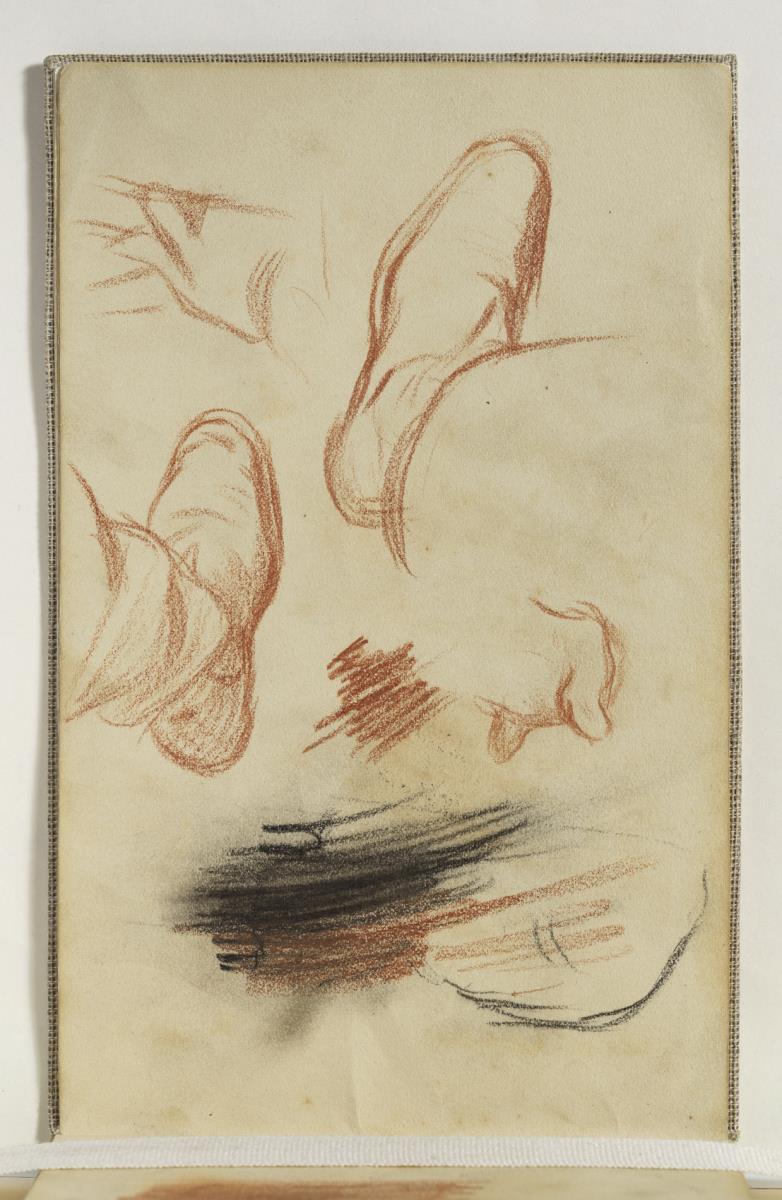 Estudio de pies, mano y gato